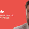 Rich Snippets WordPress Plugin