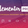 Elementor Pro + Elementorism Landing Pages
