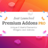Premium Addons PRO