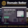 Domain Seller