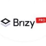 Brizy Pro