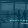 Binary MLM Software