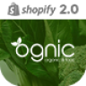 Ognic  Theme Shopify